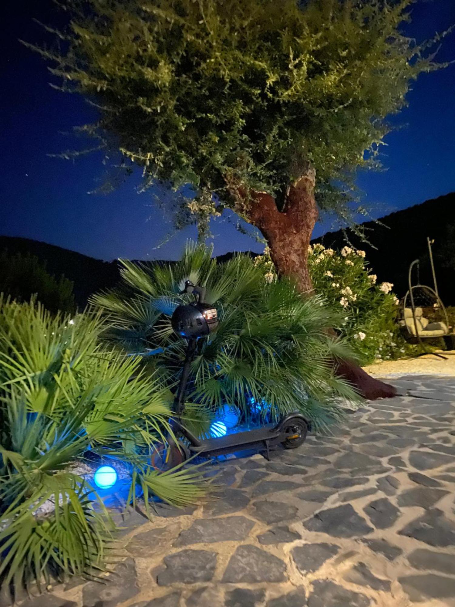 Belle Chambre Privee Avec Le Jardin Privatif Et Le Jacuzzi Cavalaire-sur-Mer Eksteriør bilde